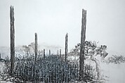 In the Sky, Qiu Anxiong (Chinese, born 1972), Single-channel animated video with sound; 8 min. 17 sec., China